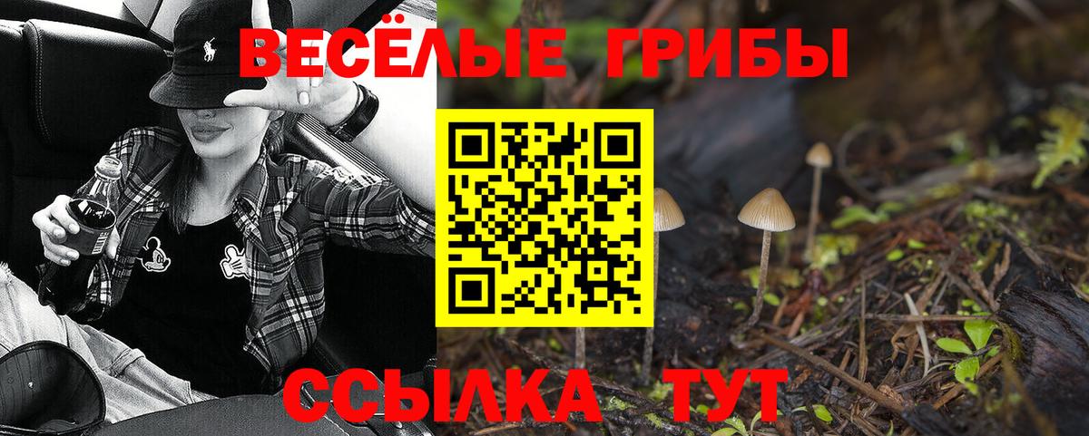 Галлюциногенные грибы GOLDEN TEACHER  где можно купить   Каспийск  Вход с VPN 