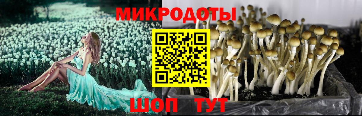 Галлюциногенные грибы ЛСД Каспийск
